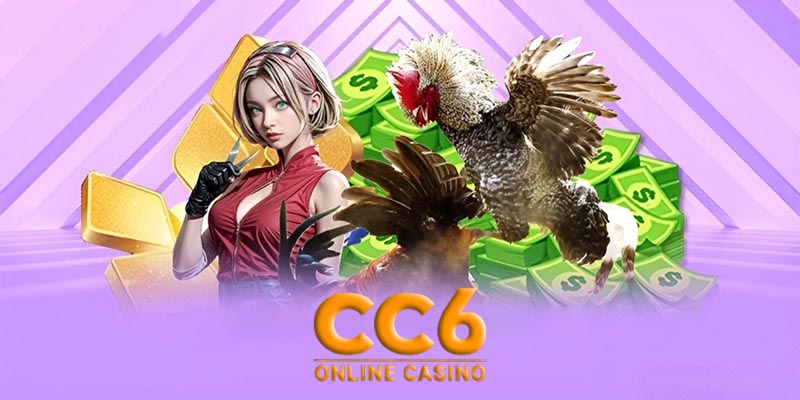 Đá Gà CC6 – Nơi Hội Tụ Của Những Chiến Binh Giỏi Nhất!